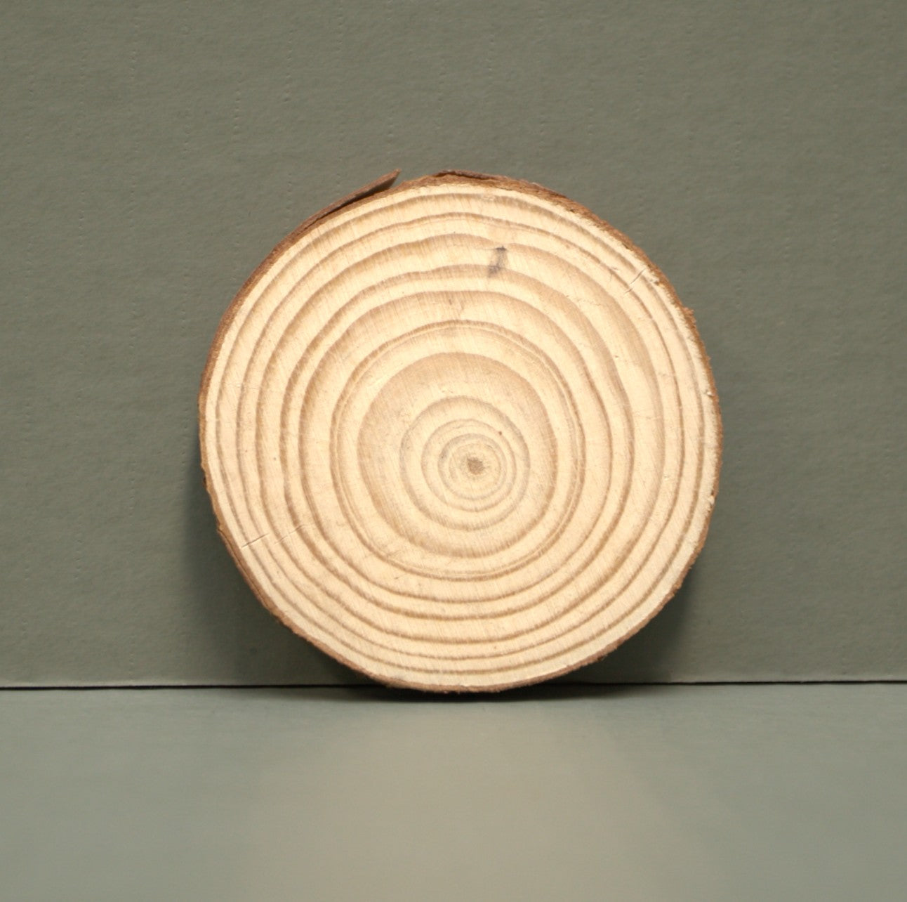 Create your own custom Wood Slice with your design, logo, or text.